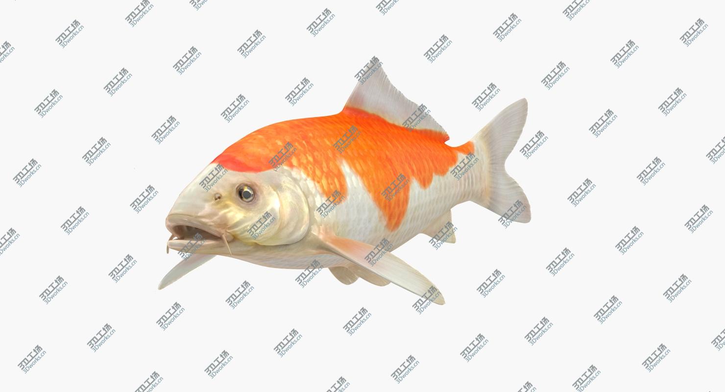 images/goods_img/2021040234/3D model Harivake Koi Fish Rigged for Maya/2.jpg